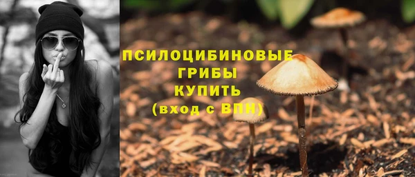 мдпв Абаза